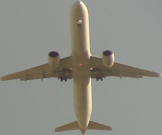 Airplane Picture