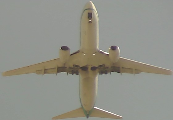Airplane Picture