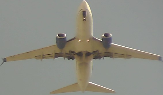 Airplane Picture