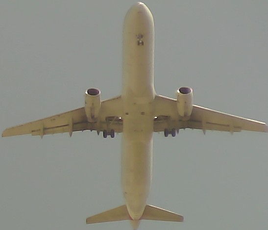 Airplane Picture
