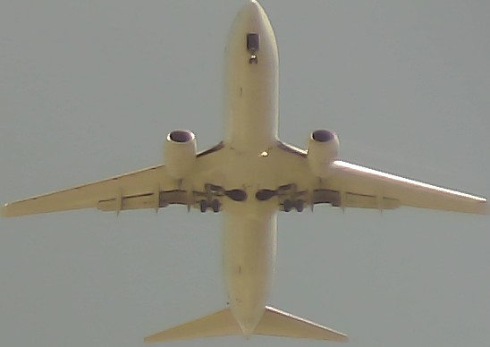 Airplane Picture