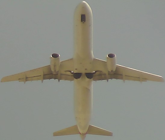 Airplane Picture