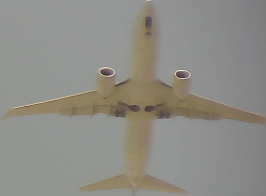 Airplane Picture