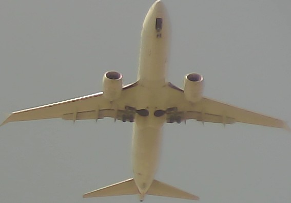 Airplane Picture