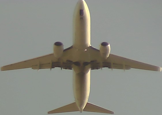 Airplane Picture