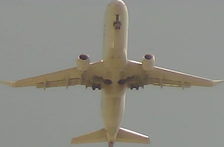 Airplane Picture