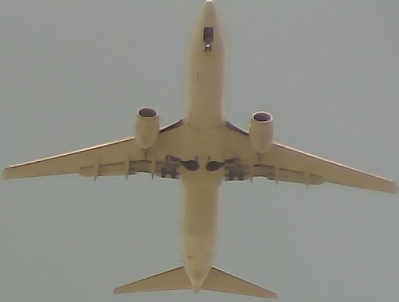 Airplane Picture