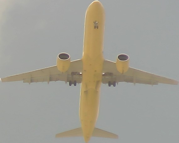 Airplane Picture