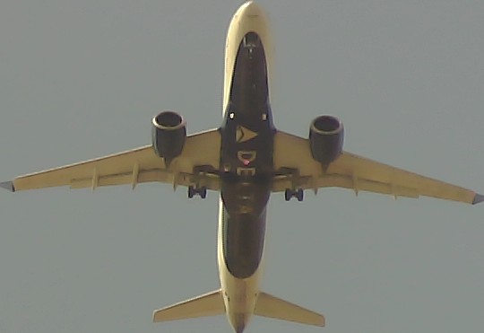 Airplane Picture