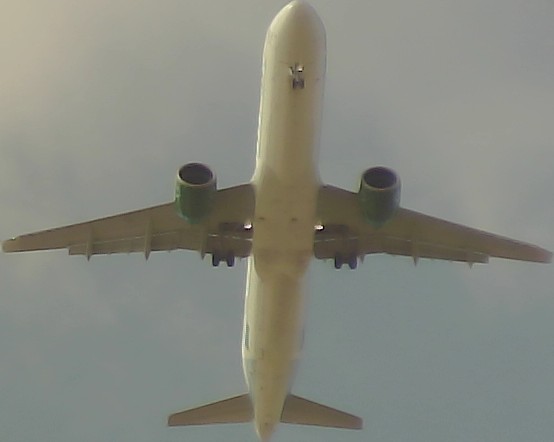 Airplane Picture