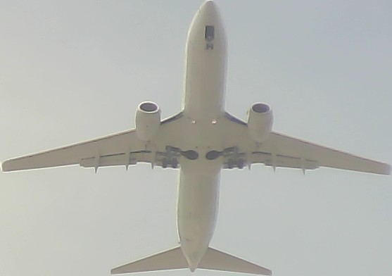 Airplane Picture