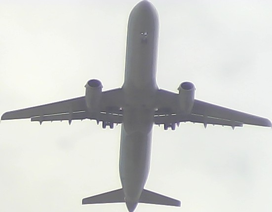 Airplane Picture