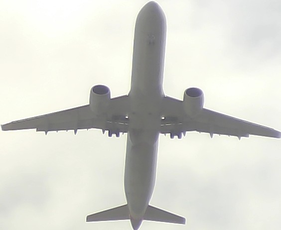 Airplane Picture