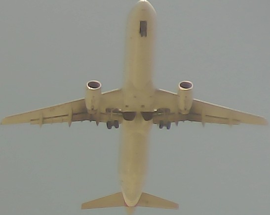 Airplane Picture