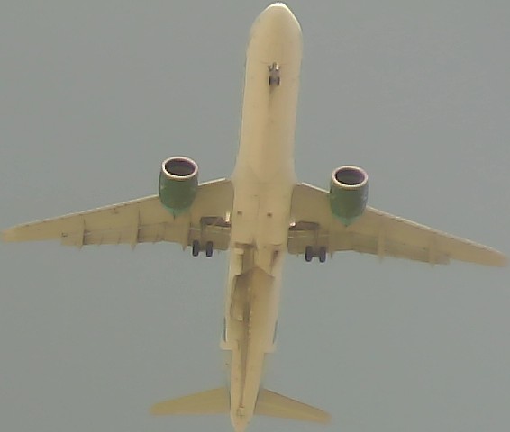 Airplane Picture