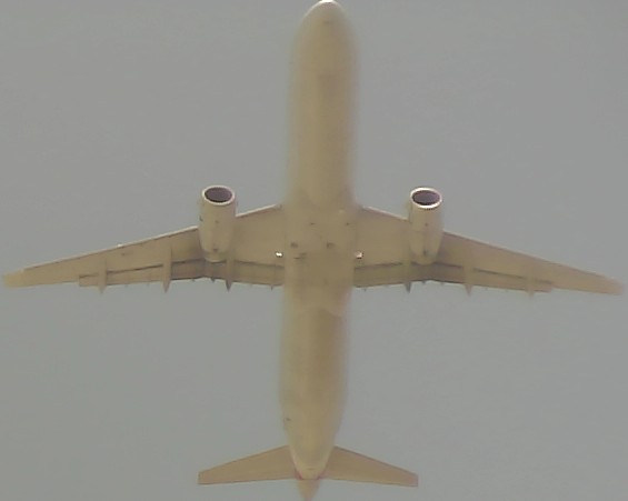 Airplane Picture