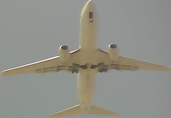 Airplane Picture