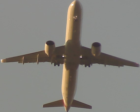 Airplane Picture