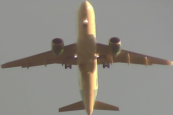 Airplane Picture