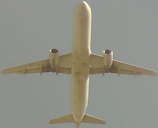 Airplane Picture