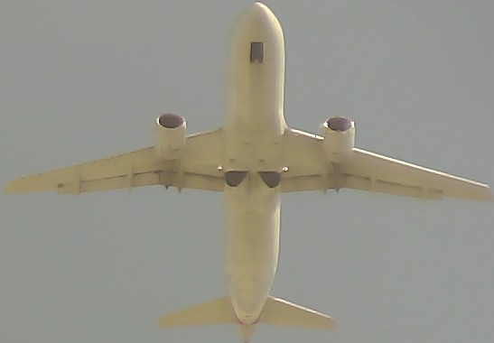 Airplane Picture