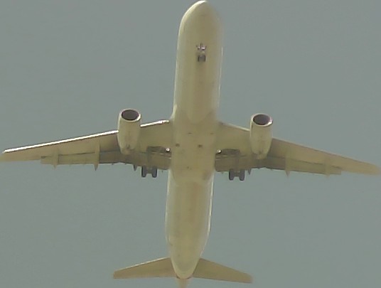 Airplane Picture