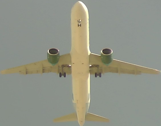 Airplane Picture
