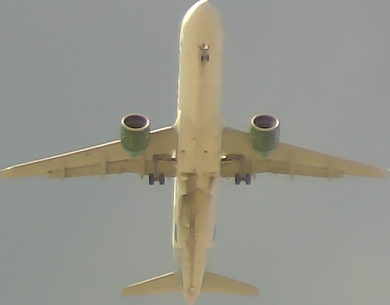 Airplane Picture