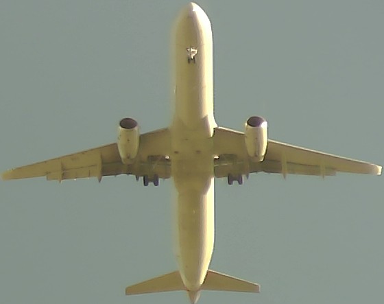 Airplane Picture