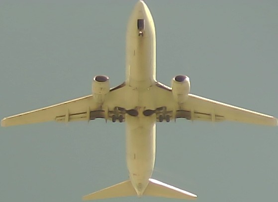 Airplane Picture