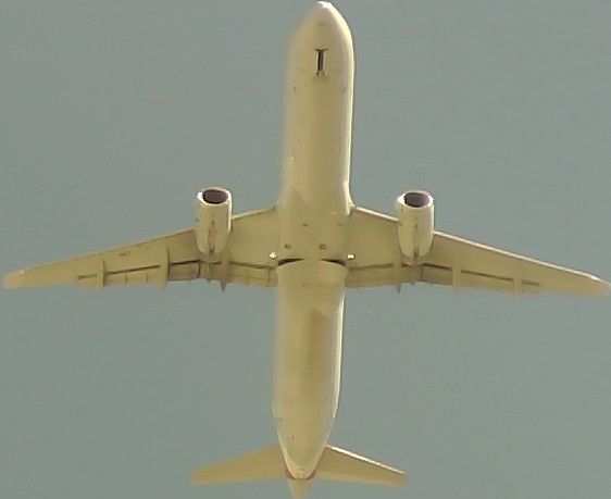 Airplane Picture