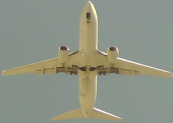 Airplane Picture