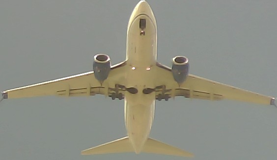 Airplane Picture