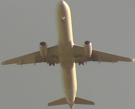 Airplane Picture