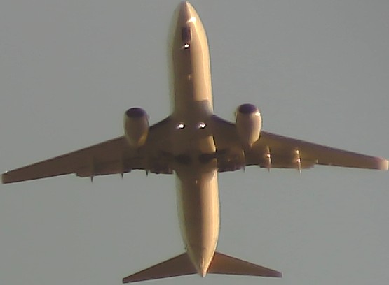 Airplane Picture