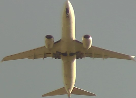Airplane Picture
