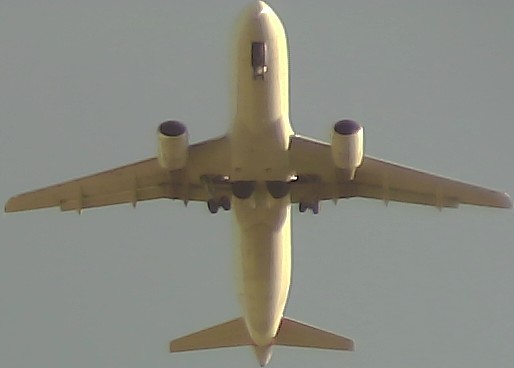 Airplane Picture