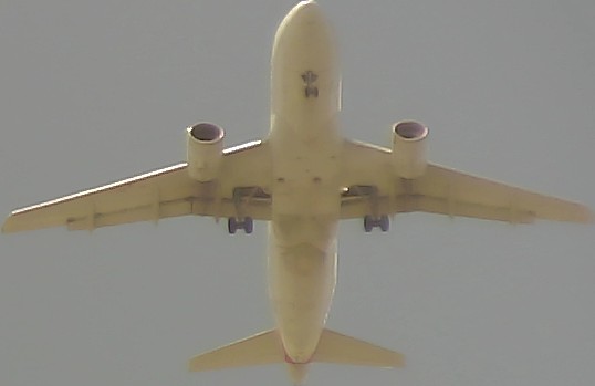 Airplane Picture