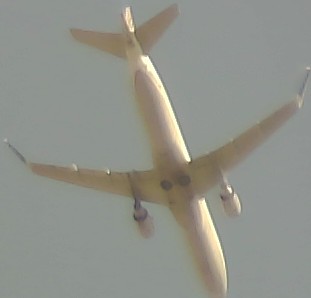Airplane Picture