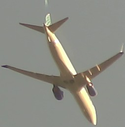 Airplane Picture