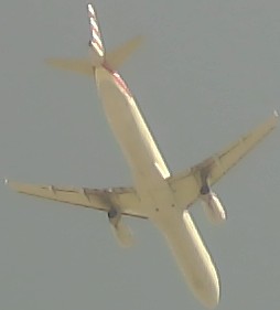 Airplane Picture