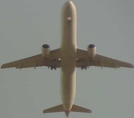 Airplane Picture