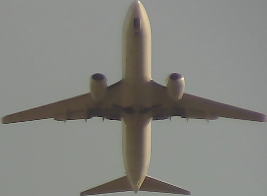 Airplane Picture