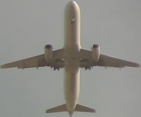 Airplane Picture