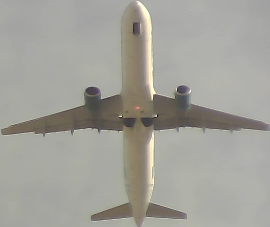 Airplane Picture