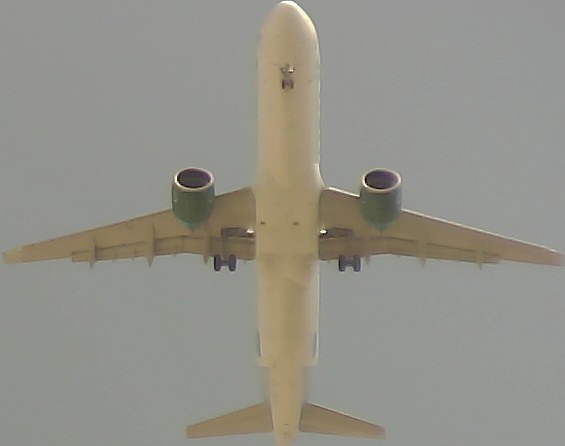 Airplane Picture