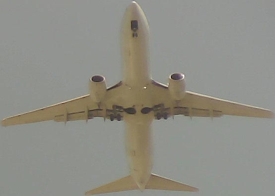 Airplane Picture