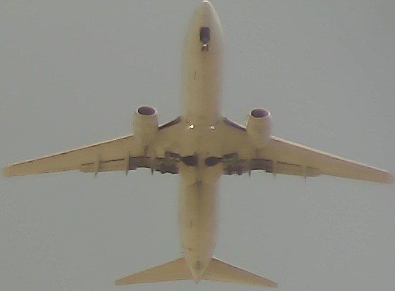 Airplane Picture