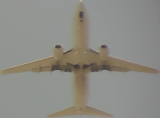 Airplane Picture