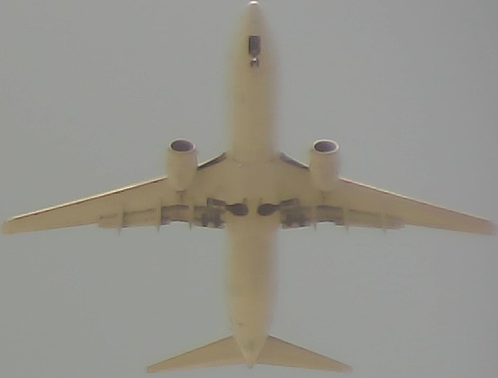 Airplane Picture